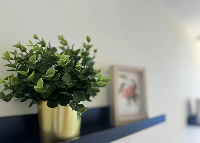 Апартаменты Maravilloso Duplex Frente Al Mar Con Parking Propio A Pie De Playa Радазул