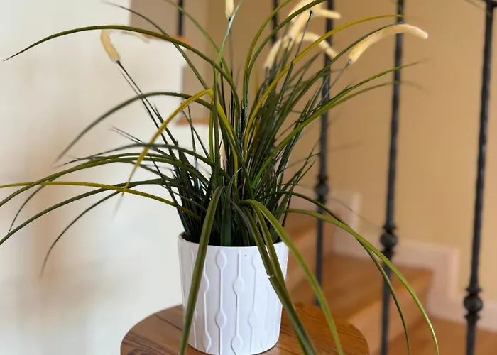 Maravilloso Duplex Frente Al Mar Con Parking Propio A Pie De Playa Апартаменты *